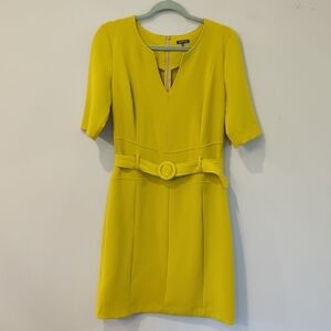 Caroline Biss Dress Chartruese Belted Tailored‎ size 38